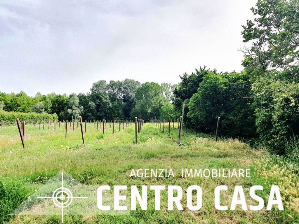Terreno a Imola - Foto 4
