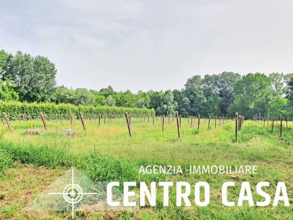 Terreno a Imola - Foto 5