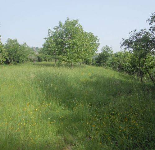 Terreno a Chiusano di san domenico in Chiusano - Foto 2