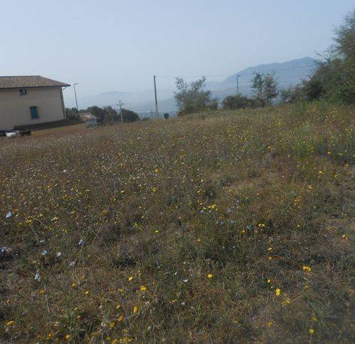 Terreno a Montemiletto in Frazione Montaperto - Foto 2