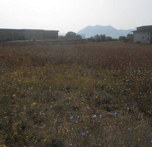 Terreno a Montemiletto in Frazione Montaperto - Foto 3