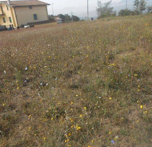 Terreno a Montemiletto in Frazione Montaperto - Foto 5