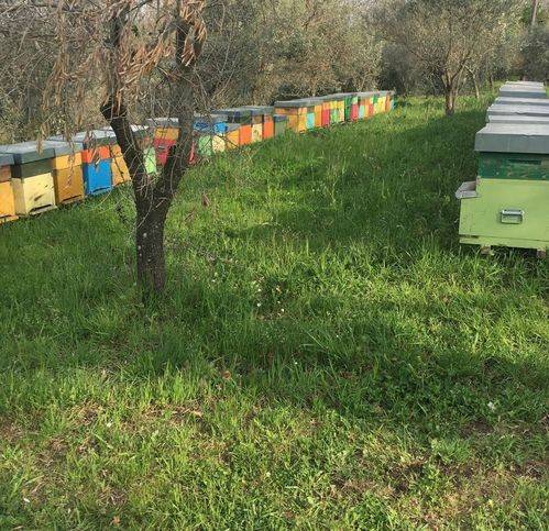 Terreno a Montemiletto in Via Fiego - Foto 2