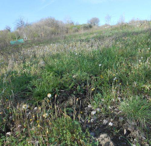 Terreno a Montemiletto in Via Fiego - Foto 3