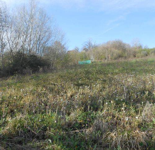 Terreno a Montemiletto in Via Fiego - Foto 5