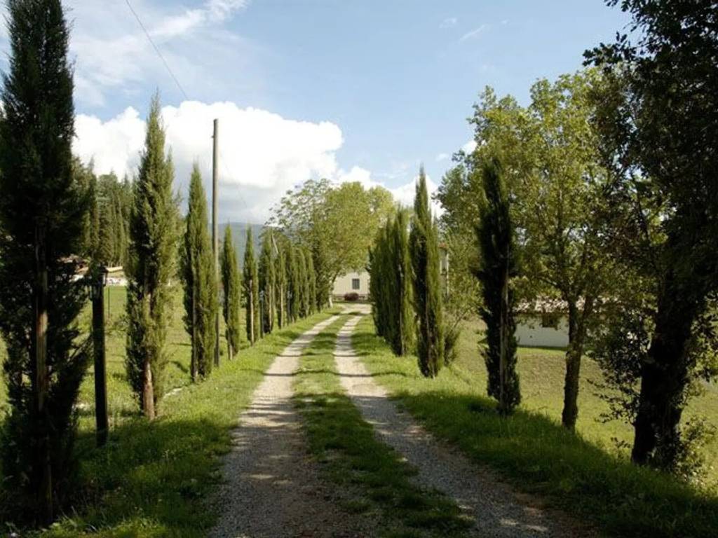 Rustico / casale a Terranuova bracciolini in Strada Comunale Pian Di Maggio - Foto 4