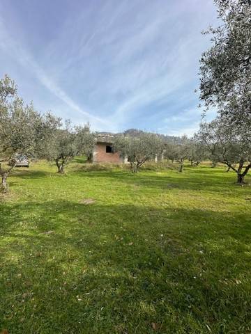 Rustico / casale a Alatri in Via Collemassaro - Foto 4