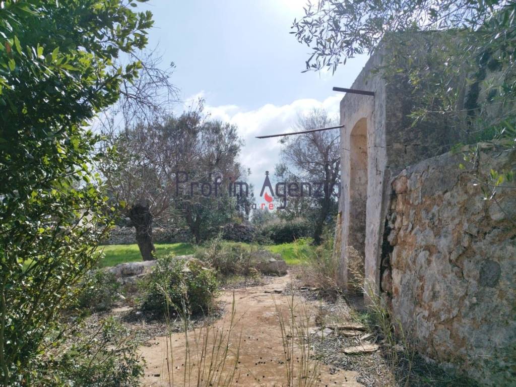 Rustico / casale a Carovigno - Foto 3