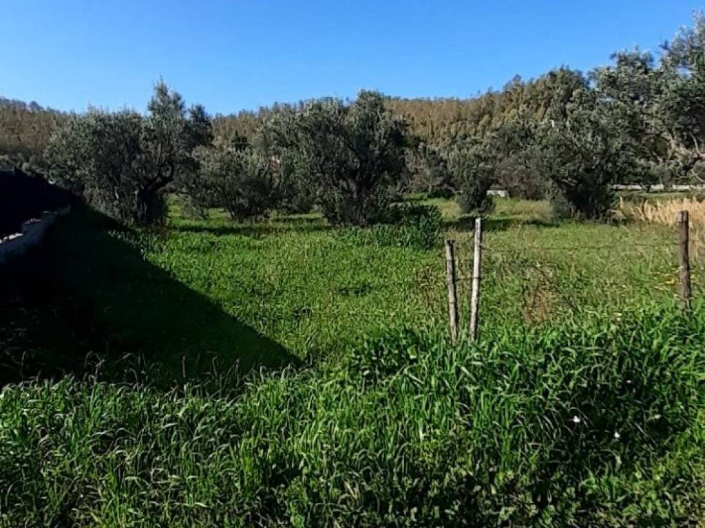 Terreno a Catanzaro in Viale Fiume Busento - Foto 2