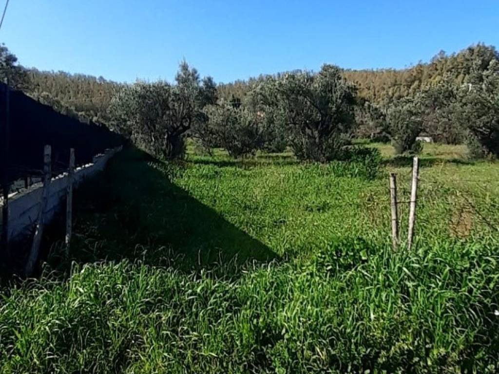 Terreno a Catanzaro in Viale Fiume Busento - Foto 4