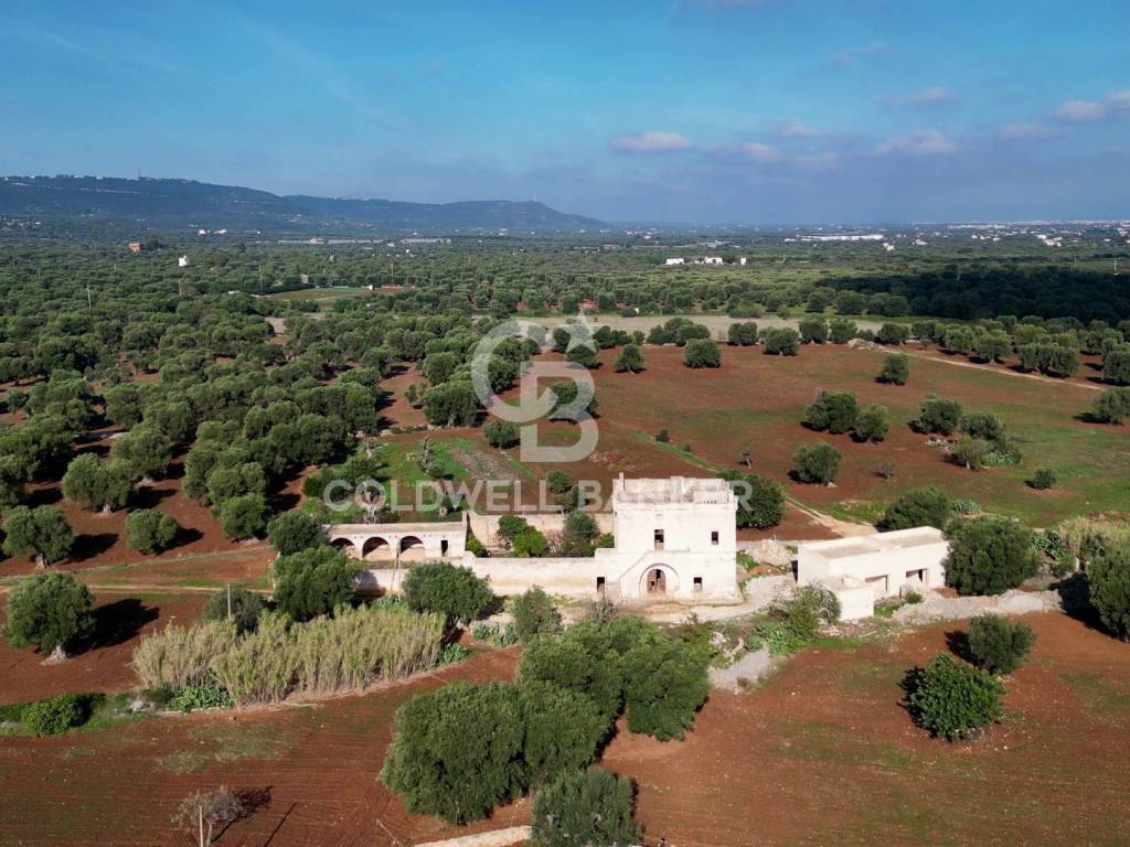 Rustico / casale a Fasano in Contrada Sant'Oronzo - Foto 2