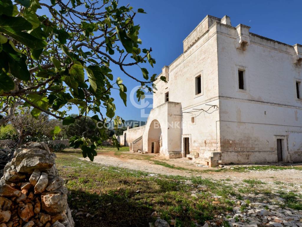 Rustico / casale a Fasano in Contrada Sant'Oronzo - Foto 3