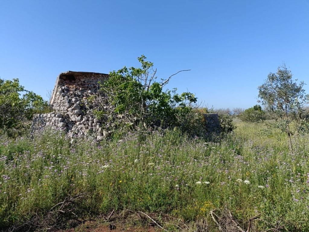 Rustico / casale a Salve in Strada Comunale Schifazzi Leopoldi - Foto 5