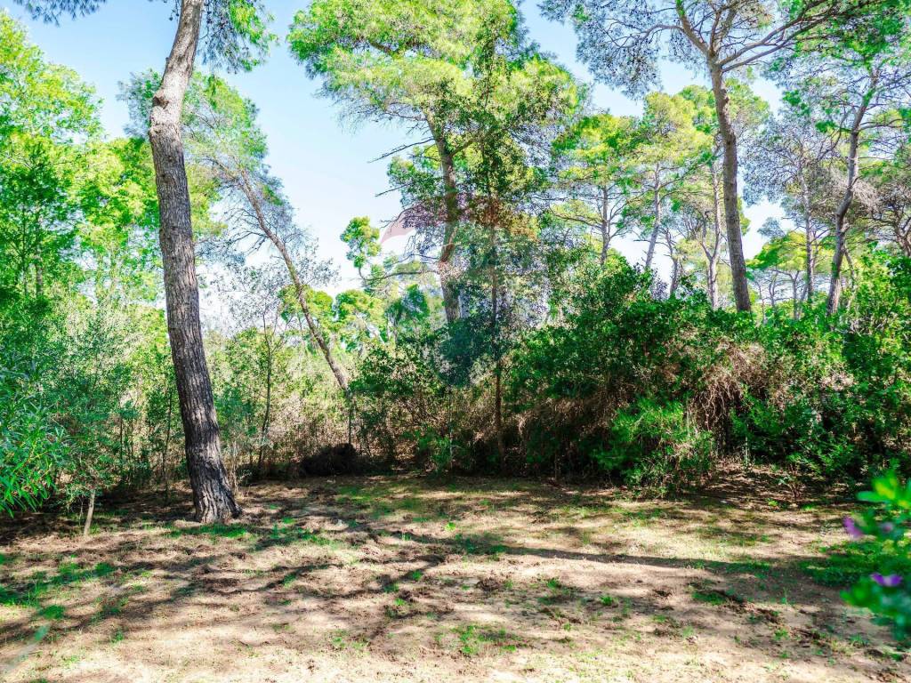 Villa a Castellaneta in Località Riva dei Tessali - Foto 3