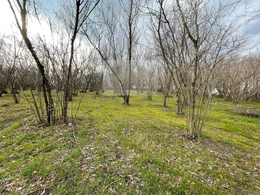 Terreno a Avellino in Contrada Pagliarone - Foto 5