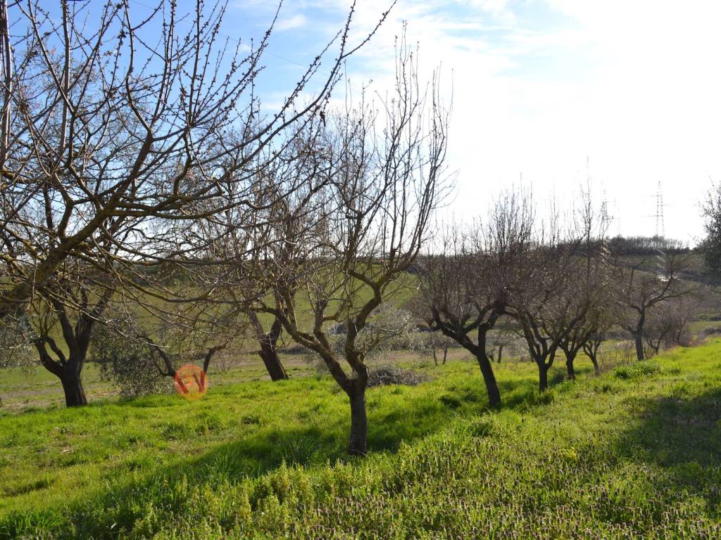 Rustico / casale a Cortona - Foto 5