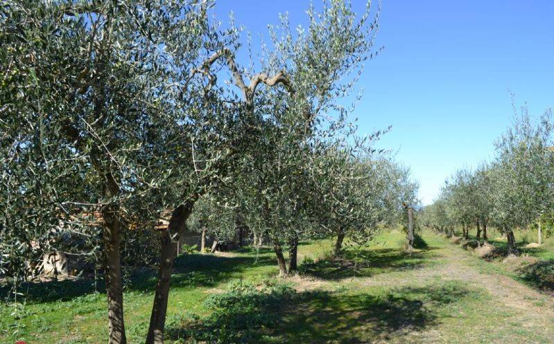 Rustico / casale a Cortona - Foto 4