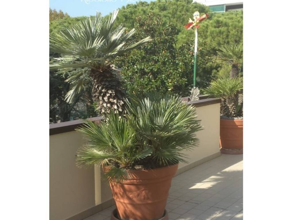 Appartamento a Riccione in Viale Monte Bianco - Foto 2