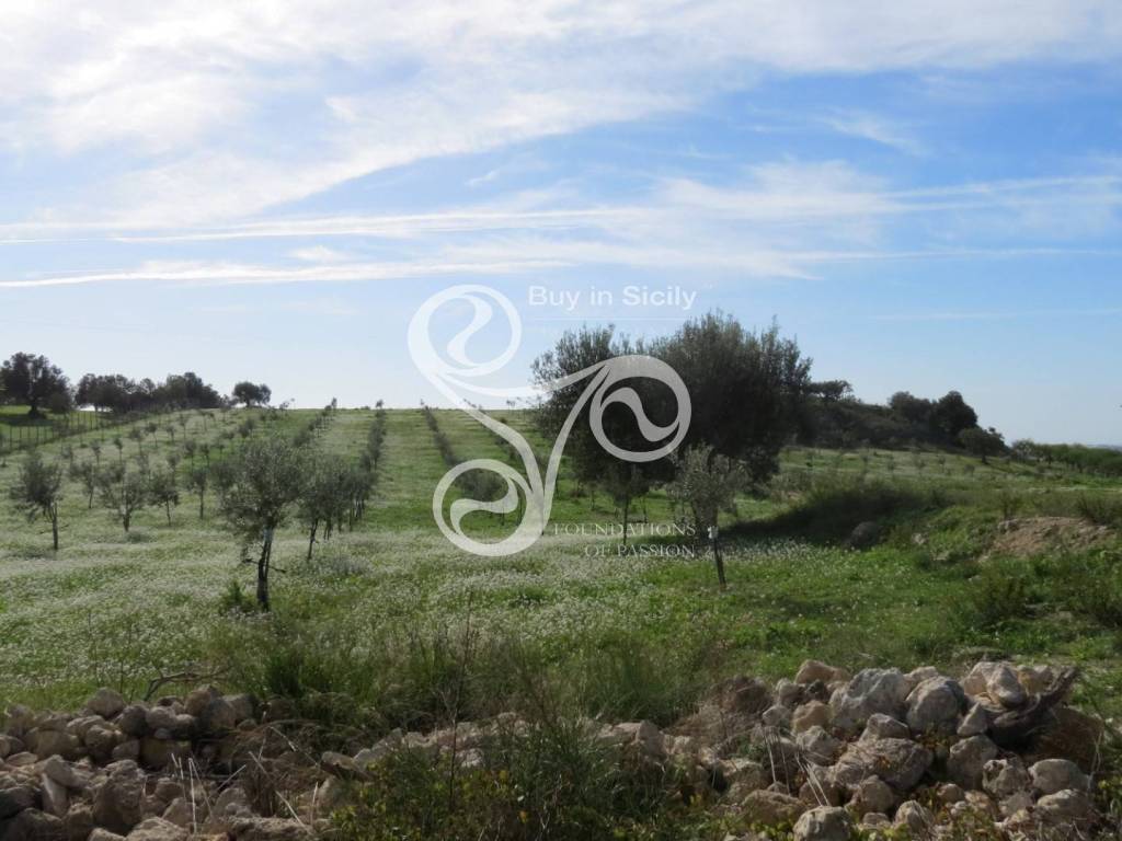 Rustico / casale a Noto in Agliastro - Foto 5