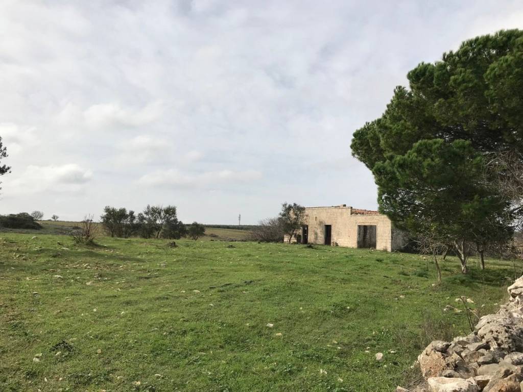 Terreno a Cassano delle murge in sp 79, nc - Foto 2