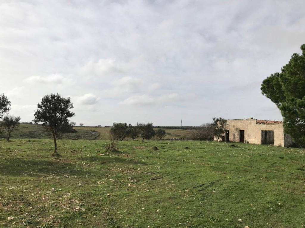 Terreno a Cassano delle murge in sp 79, nc - Foto 4