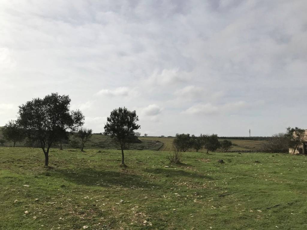 Terreno a Cassano delle murge in sp 79, nc - Foto 5