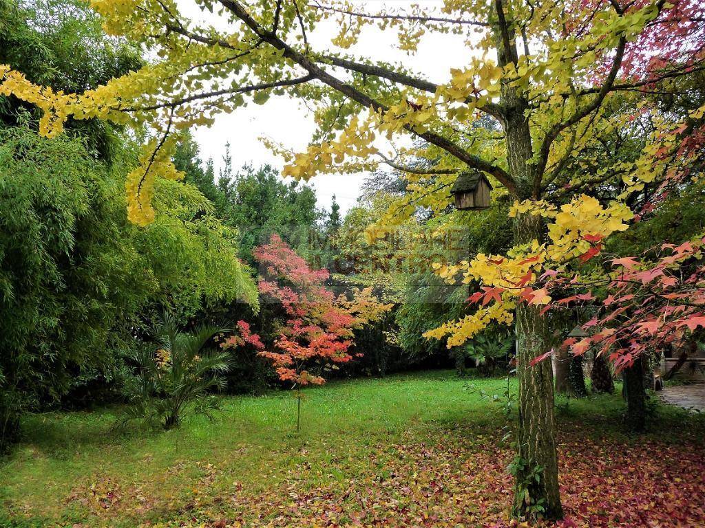 Casa indipendente a Sarzana - Foto 5