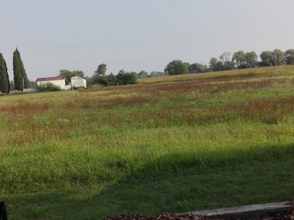 Terreno a Camino al tagliamento in Via Biauzzo, 4 - Foto 2