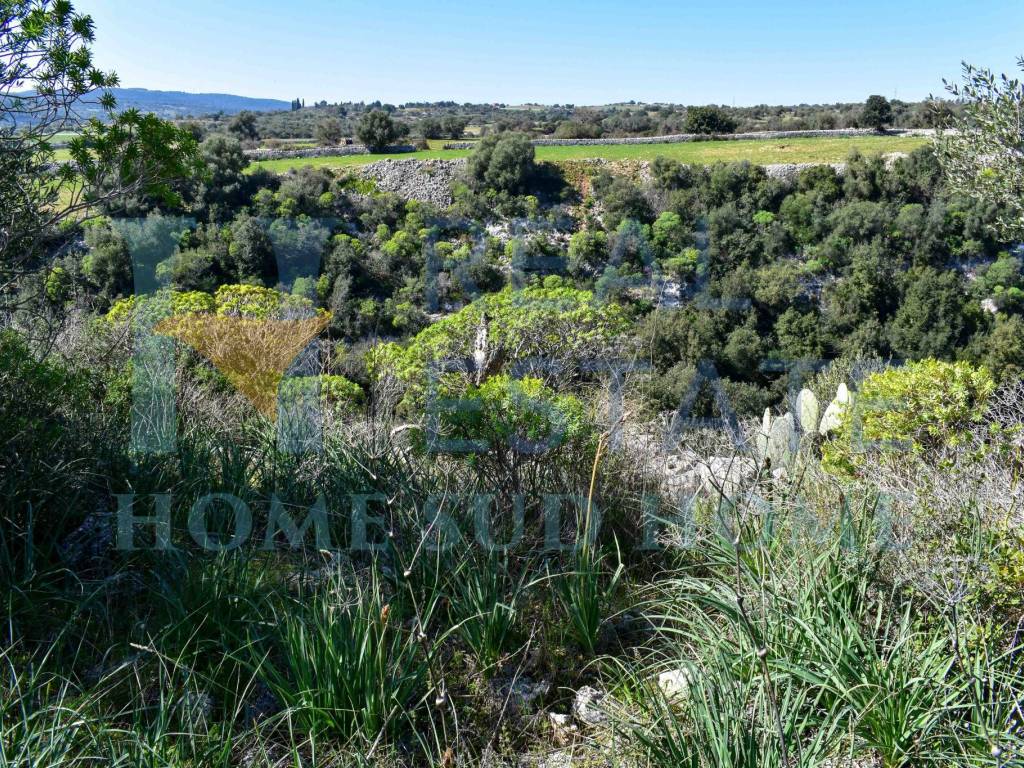 Terreno a Noto in Via Tommaso Fazello, 228 - Foto 2