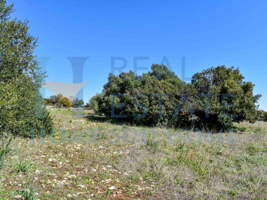Terreno a Noto in Via Tommaso Fazello, 228 - Foto 5
