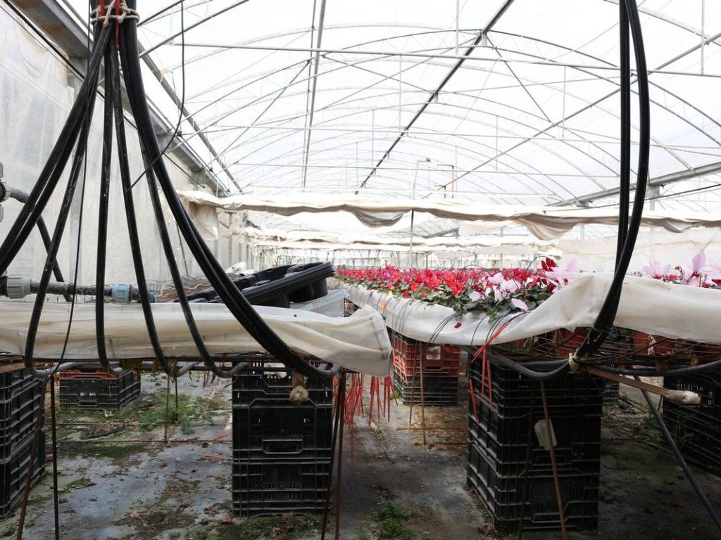 Terreno a Cori in Via Capo le Mole - Foto 4