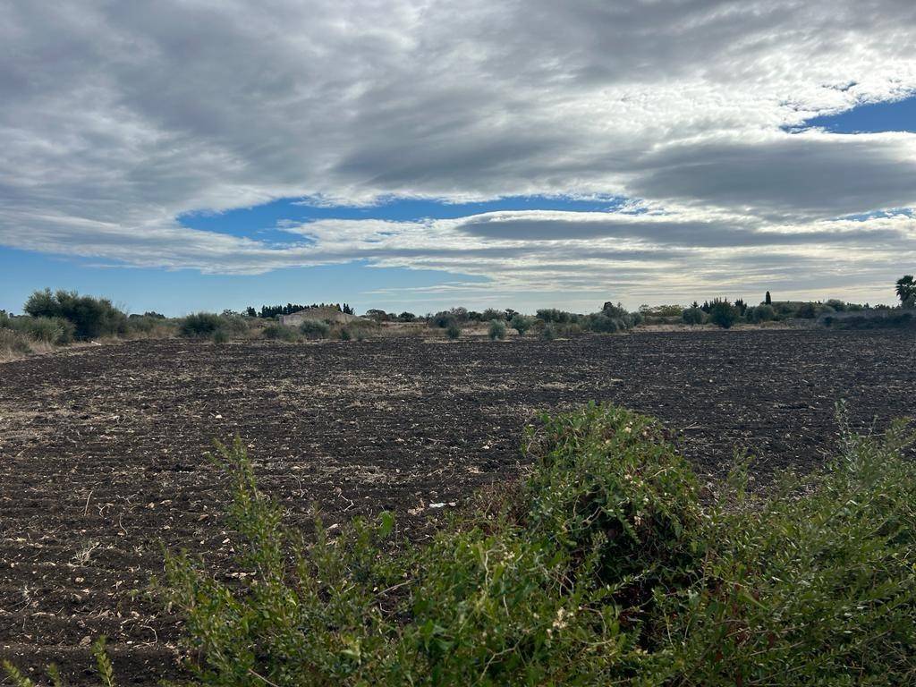 Terreno a Siracusa in traversa c.da Mortellito - Foto 3