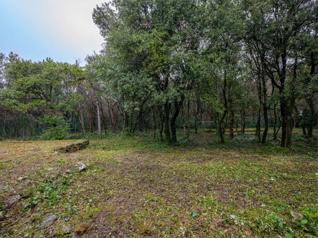 Terreno a Duino-aurisina in Duino - Foto 3