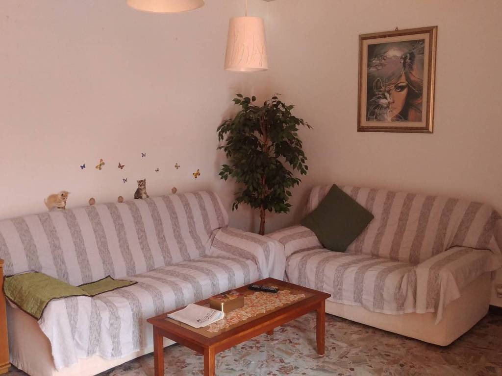 Appartamento a Carpi - Foto 2
