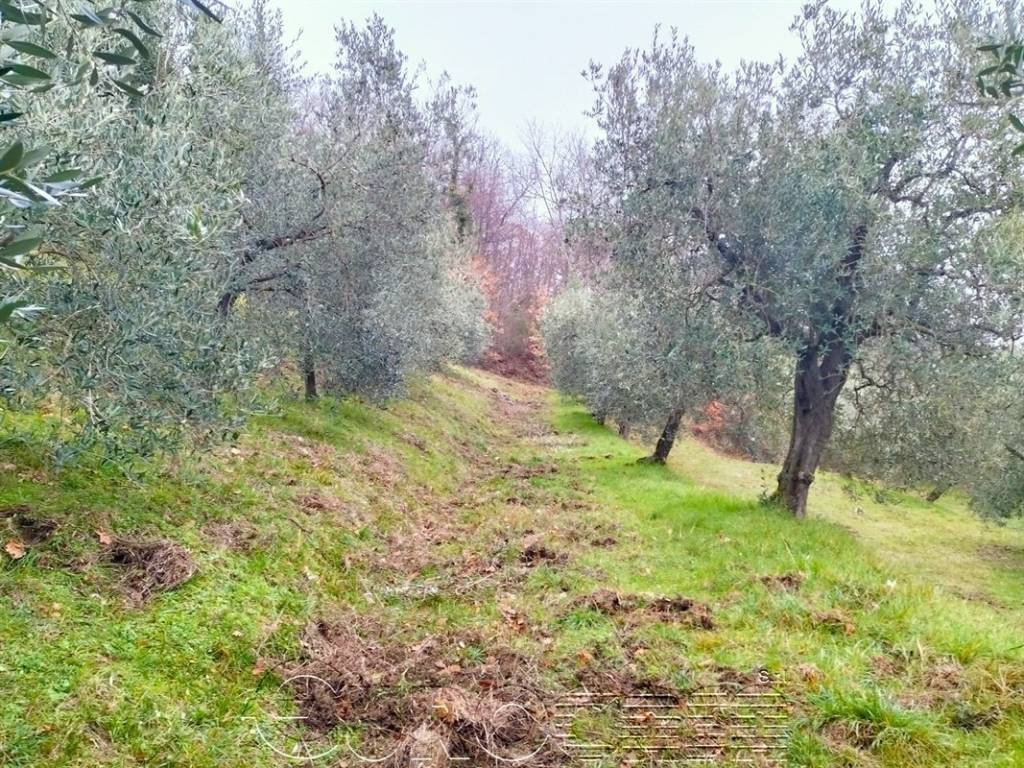Terreno a Città di castello in Frazione Lugnano - Foto 5