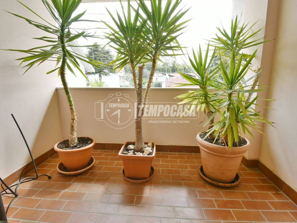 Appartamento a Ascoli piceno in Via delle Begonie - Foto 5