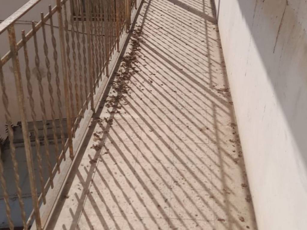 Appartamento a Curti in Corso Piave - Foto 4