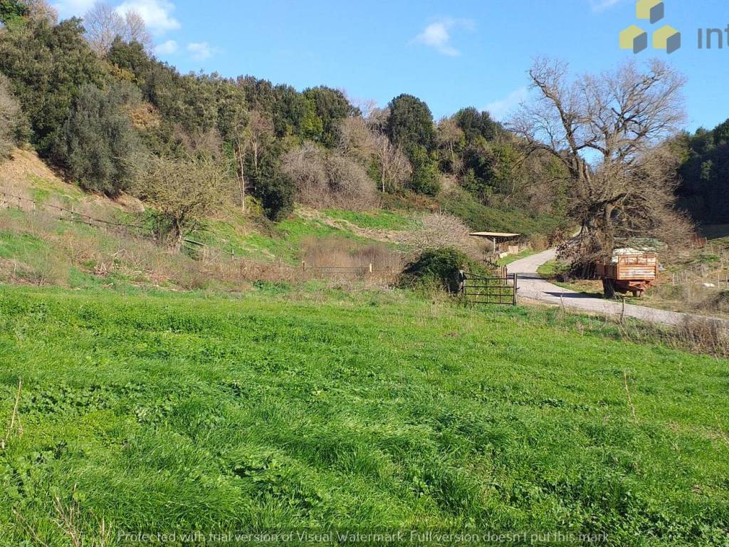 Terreno a Roma in Via Giovanni Battista Paravia - Foto 2