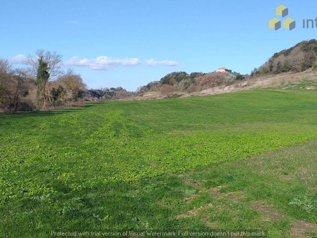 Terreno a Roma in Via Giovanni Battista Paravia - Foto 4