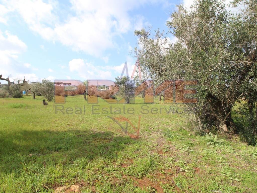 Rustico / casale a Parabita in Strada Vicinale di Levante - Foto 2