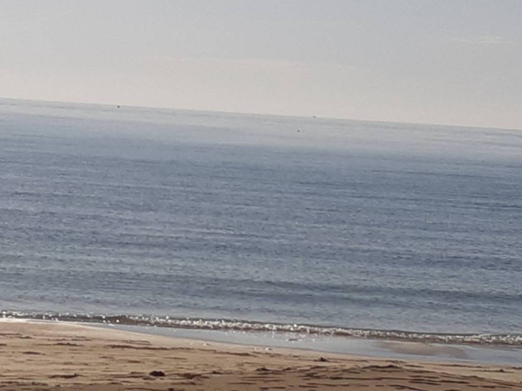 Terreno a Porto cesareo in Via Francesco Pigafetta - Foto 3