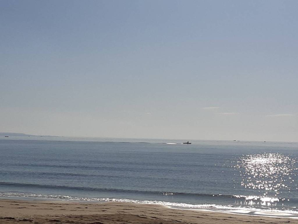 Terreno a Porto cesareo in Via Francesco Pigafetta - Foto 4