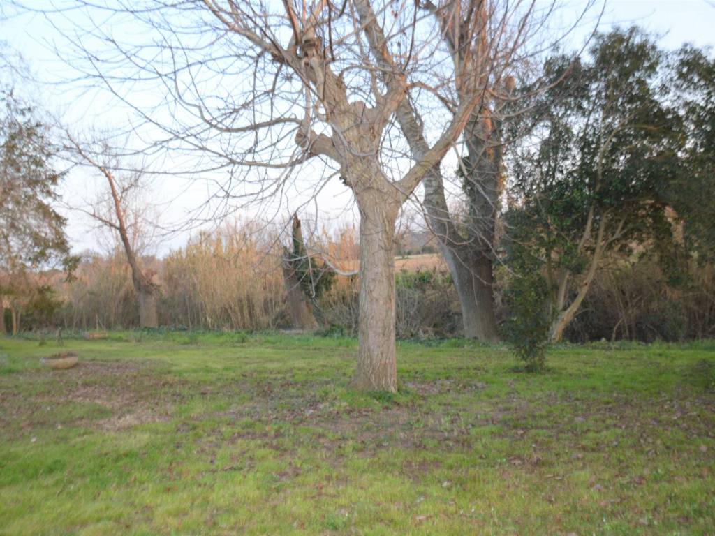 Casa indipendente a Castelfidardo - Foto 5
