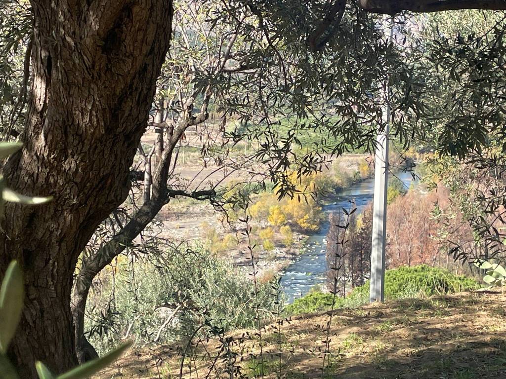 Terreno a Taormina in Contrada Feo Coniglio - Foto 4