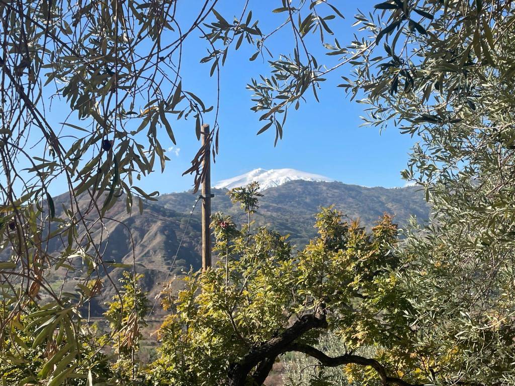 Terreno a Taormina in Contrada Feo Coniglio - Foto 5