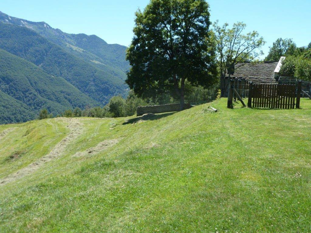 Rustico / casale a Masera in Via Veriago, - - Foto 3