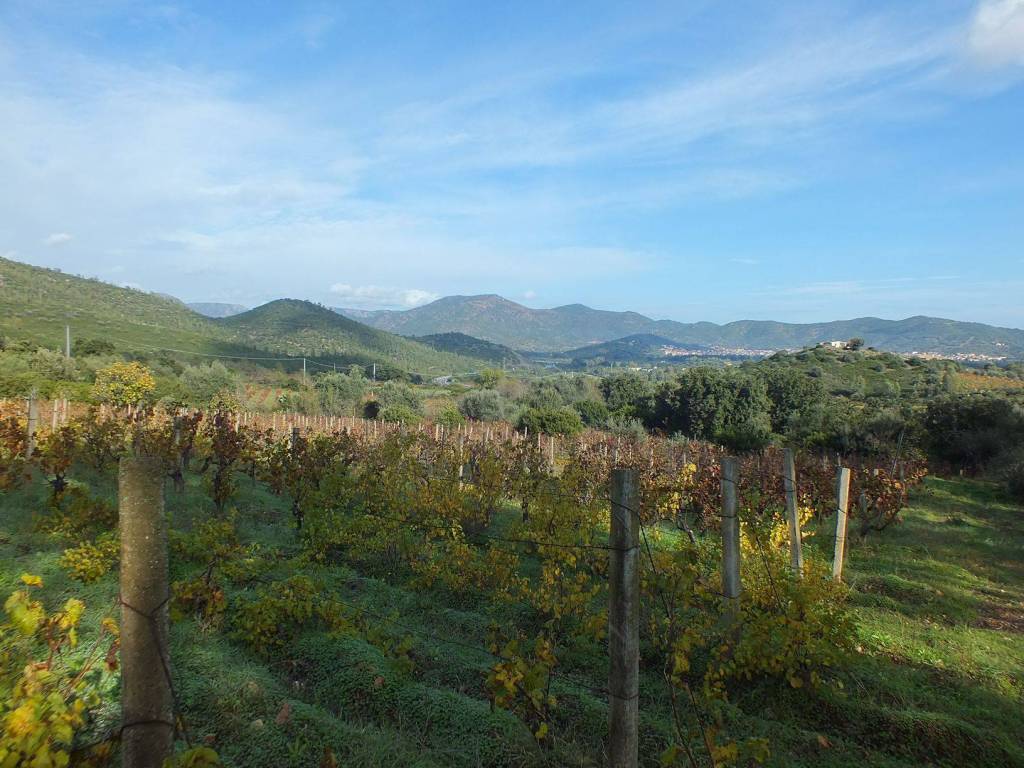 Terreno a Muravera - Foto 2