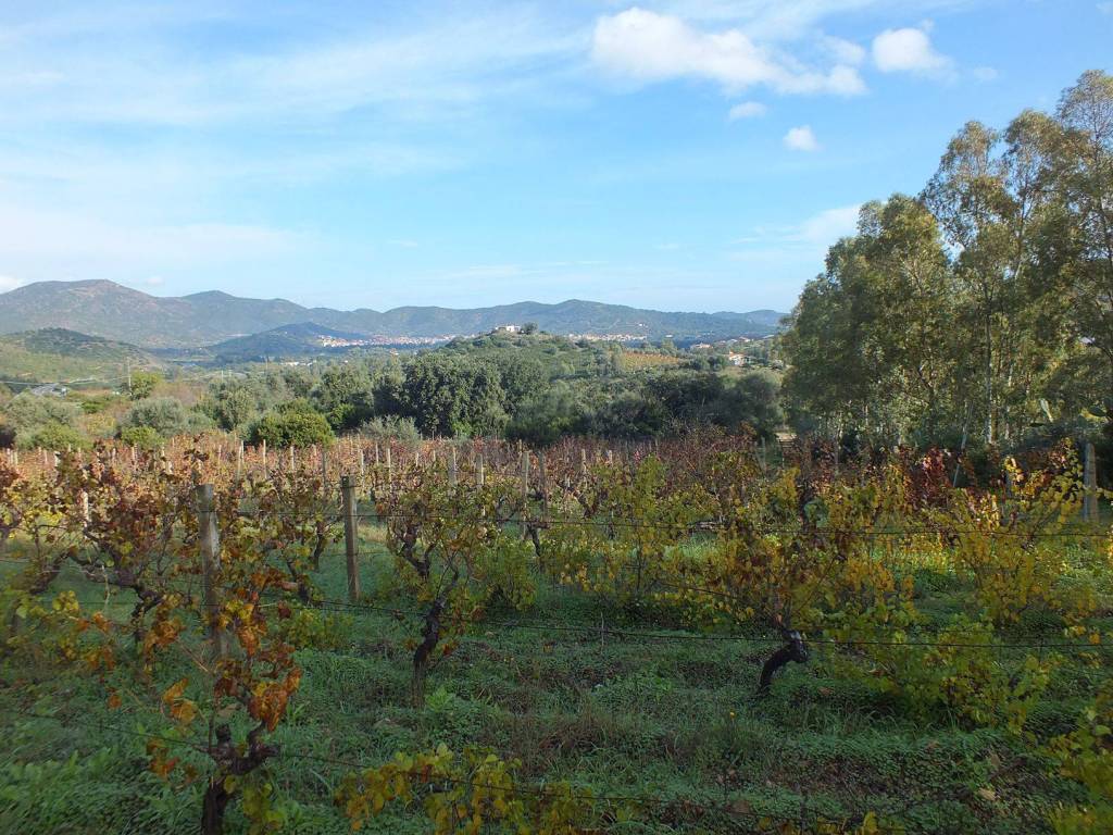 Terreno a Muravera - Foto 3