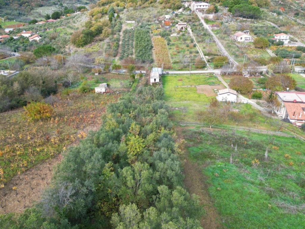 Terreno a Altofonte in Contrada Rebuttone - Foto 4