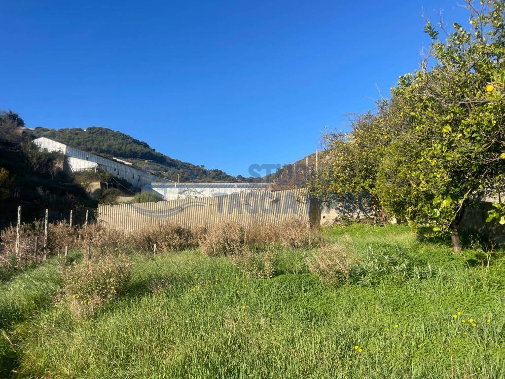 Terreno a Taggia in Via Beglini, 137 - Foto 2